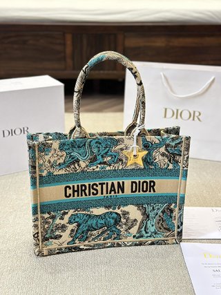 DIOR-763