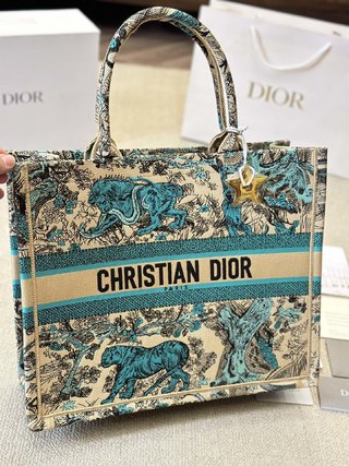 DIOR-764