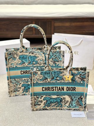 DIOR-764