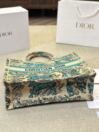 DIOR-763