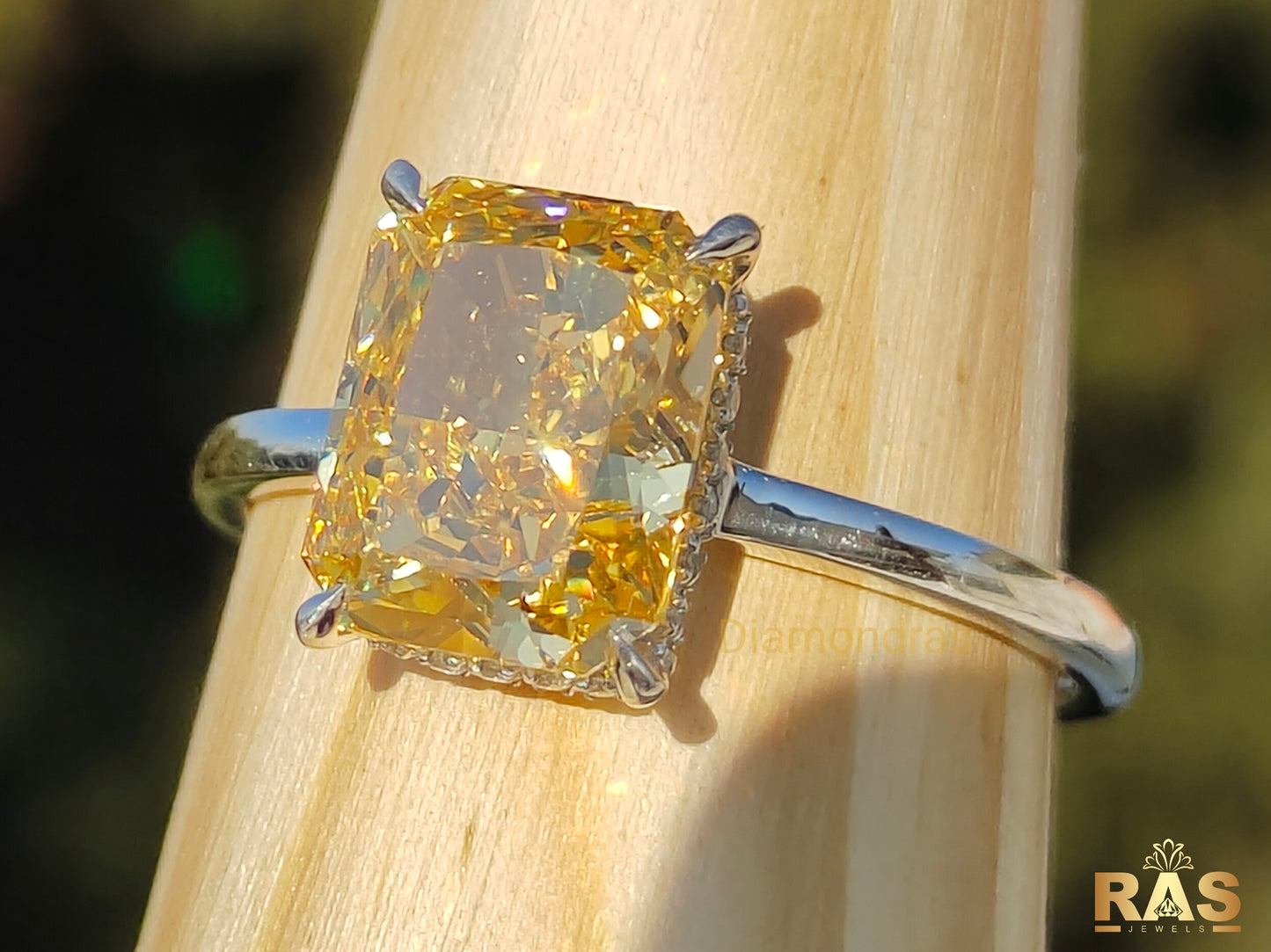 Main stone series-005ring