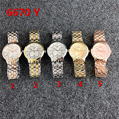 TS 6670 Y
