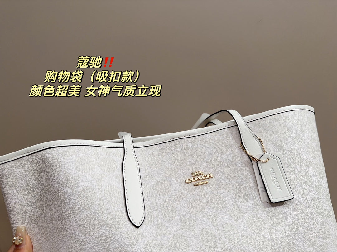Co-BAG110
