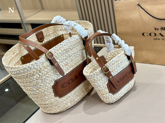 Co BAG01