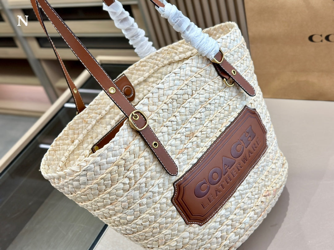 Co BAG01