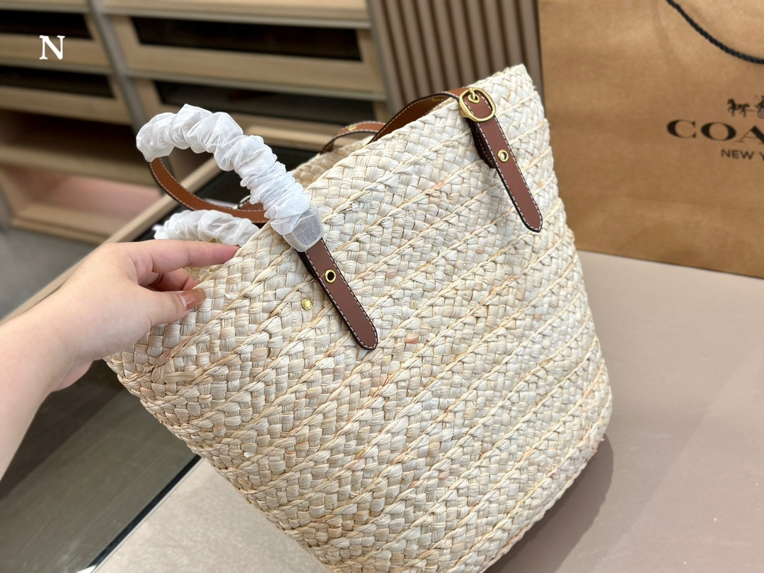 Co BAG01