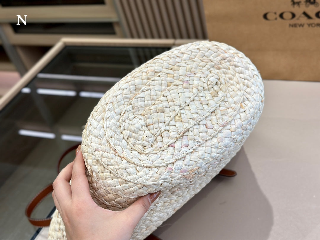 Co BAG01