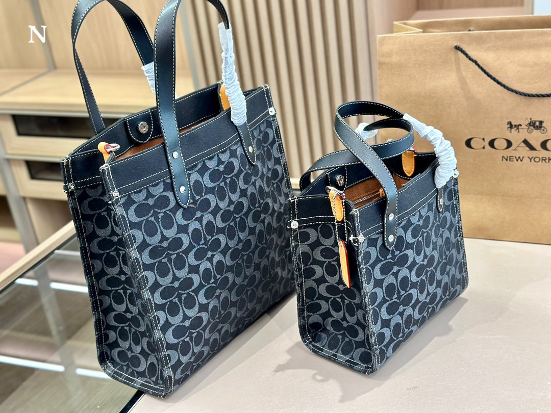 Co-BAG133
