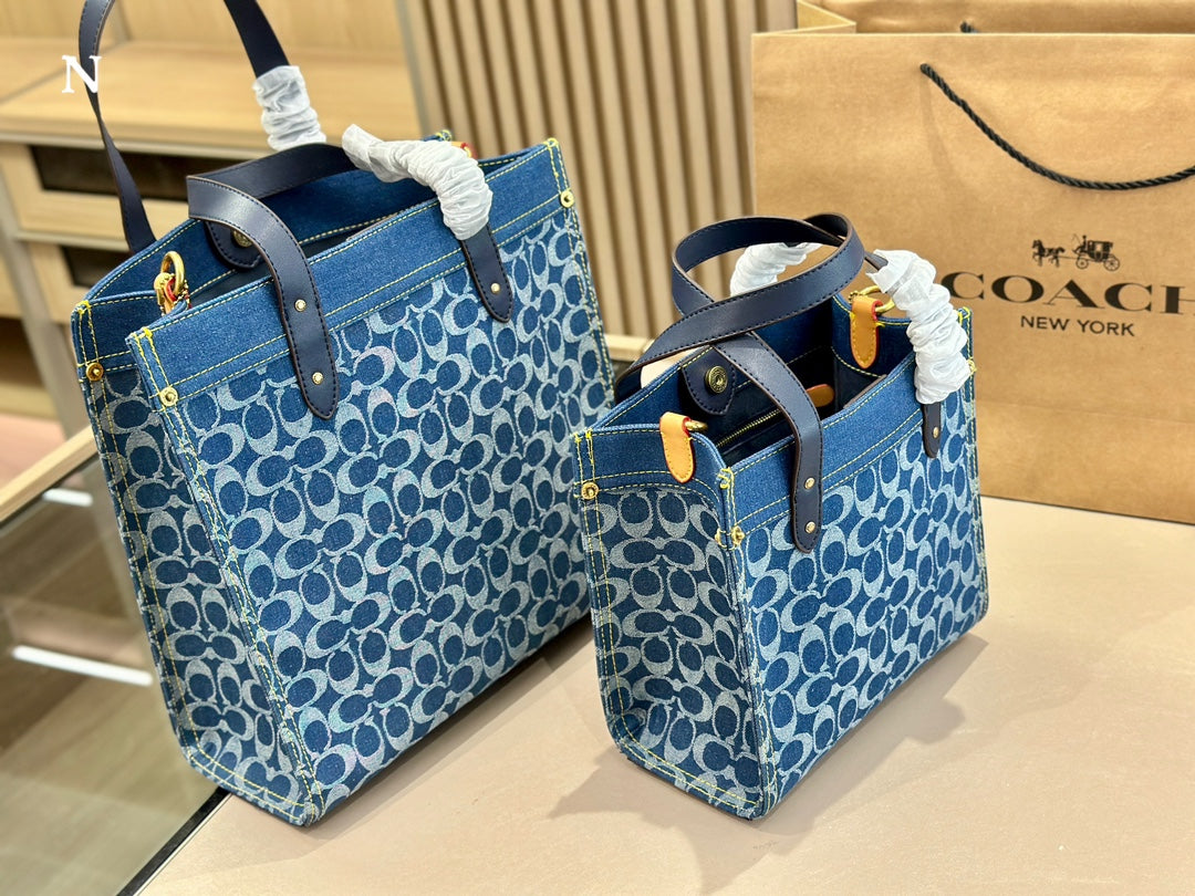 Co-BAG133
