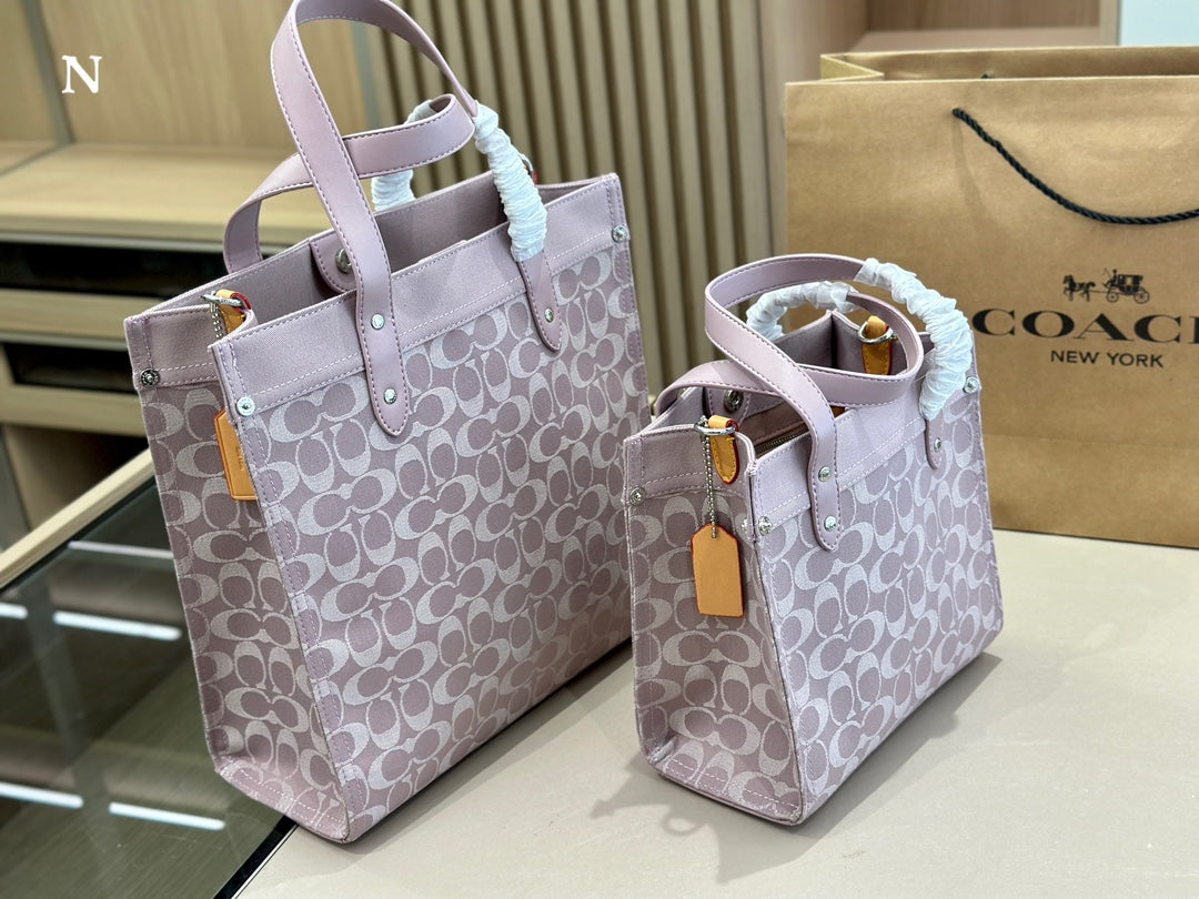 Co-BAG133