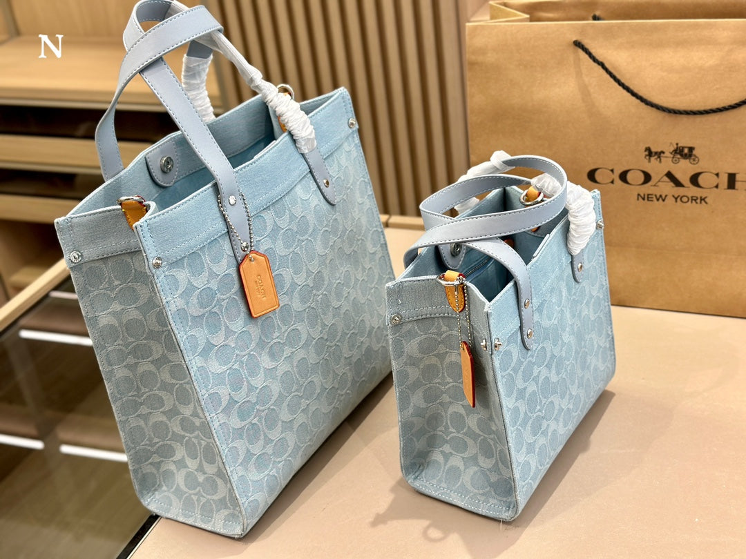 Co-BAG133