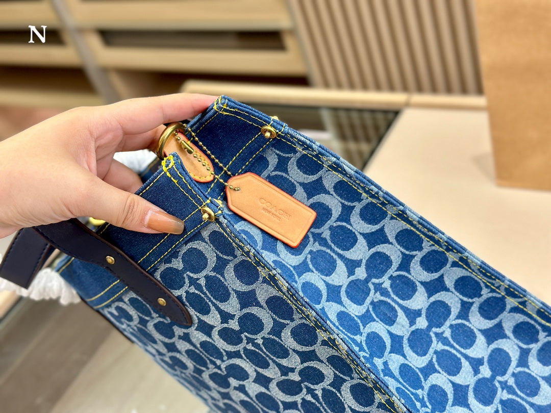 Co-BAG133