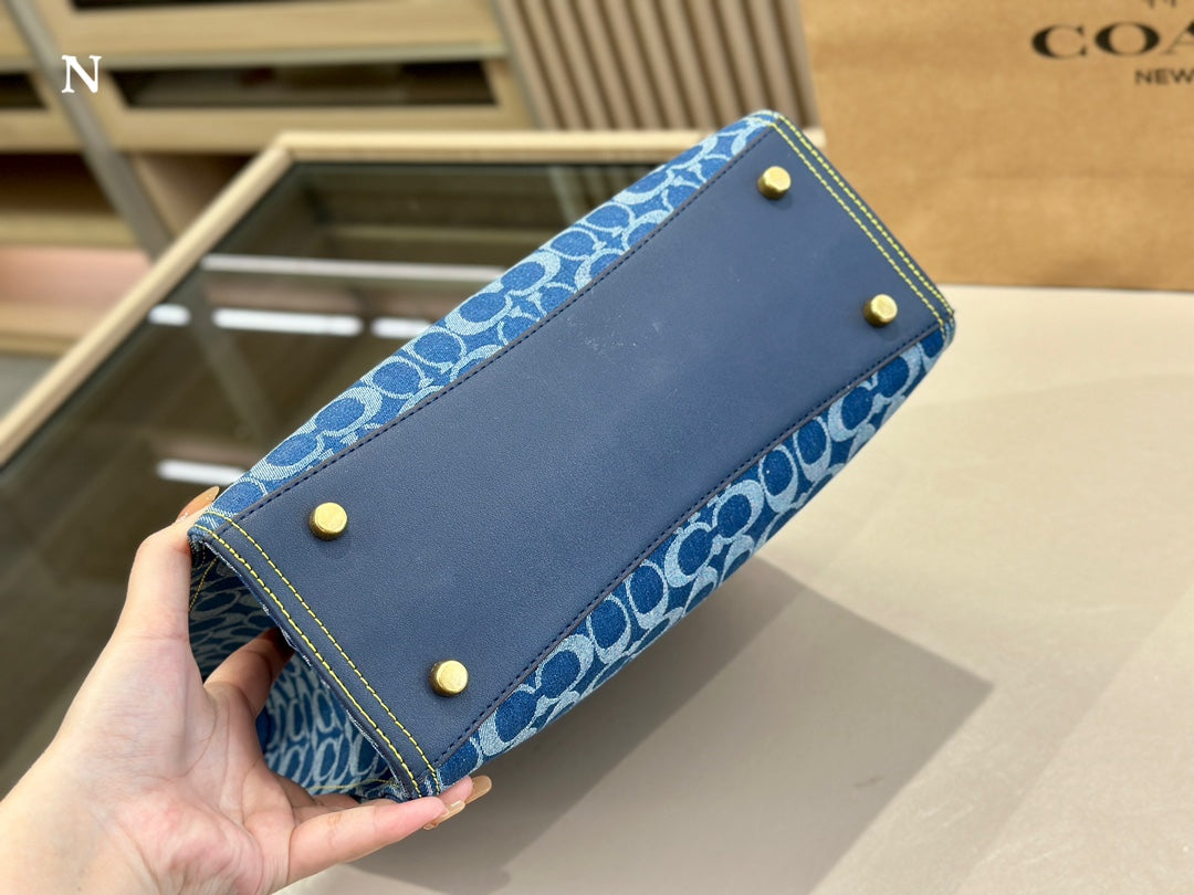 Co-BAG133