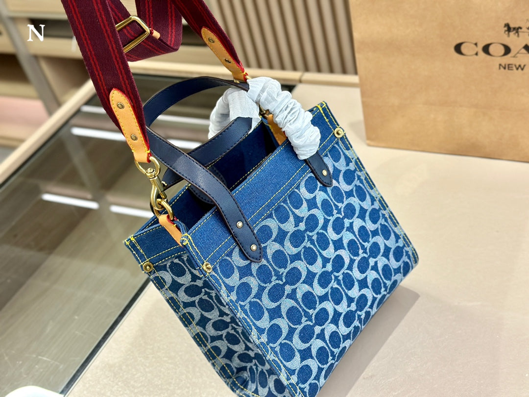 Co-BAG133