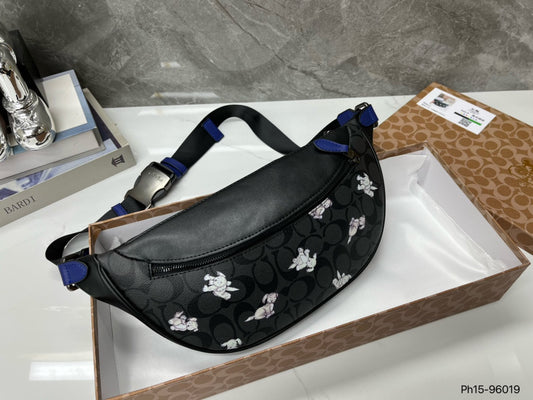 Co-BAG2