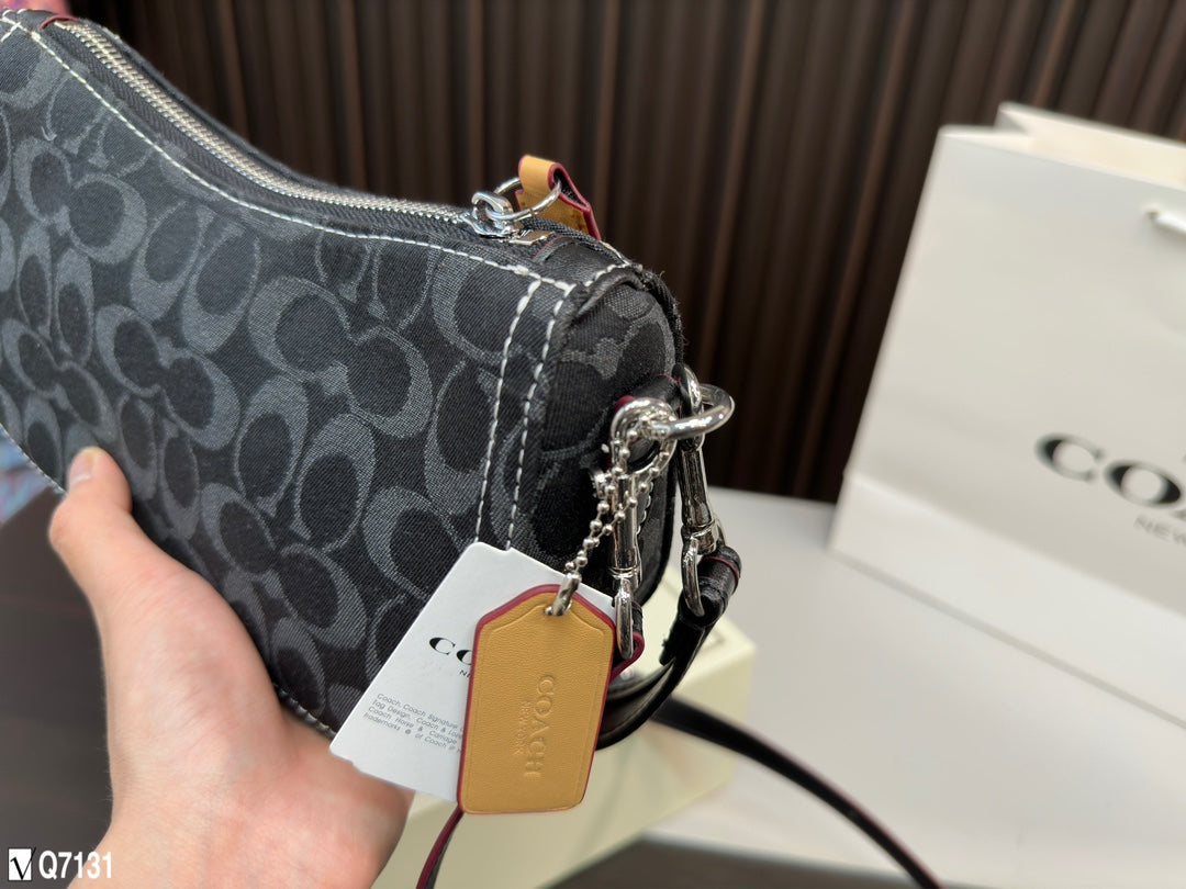 Co-BAG115