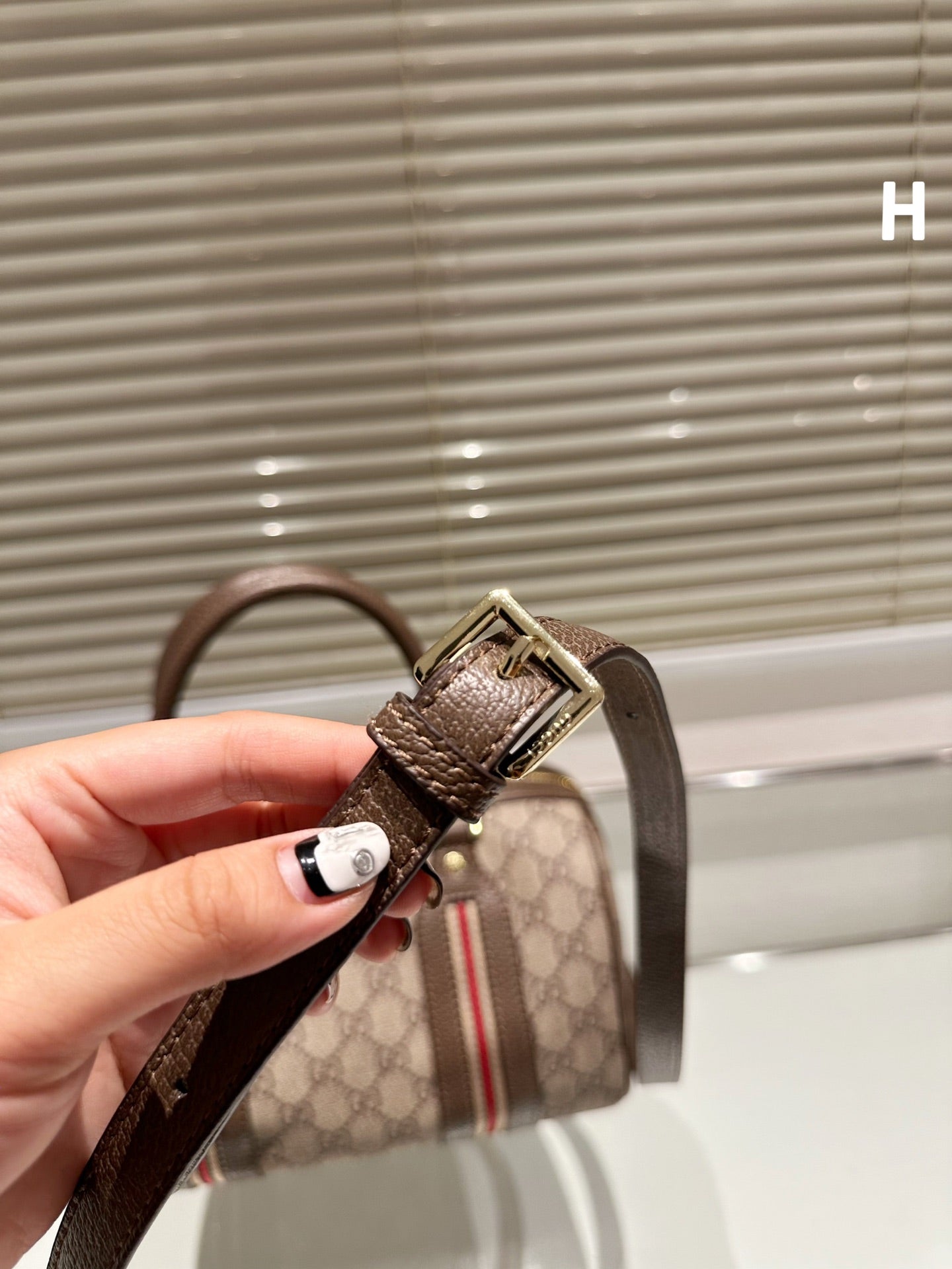 gucci bag -5