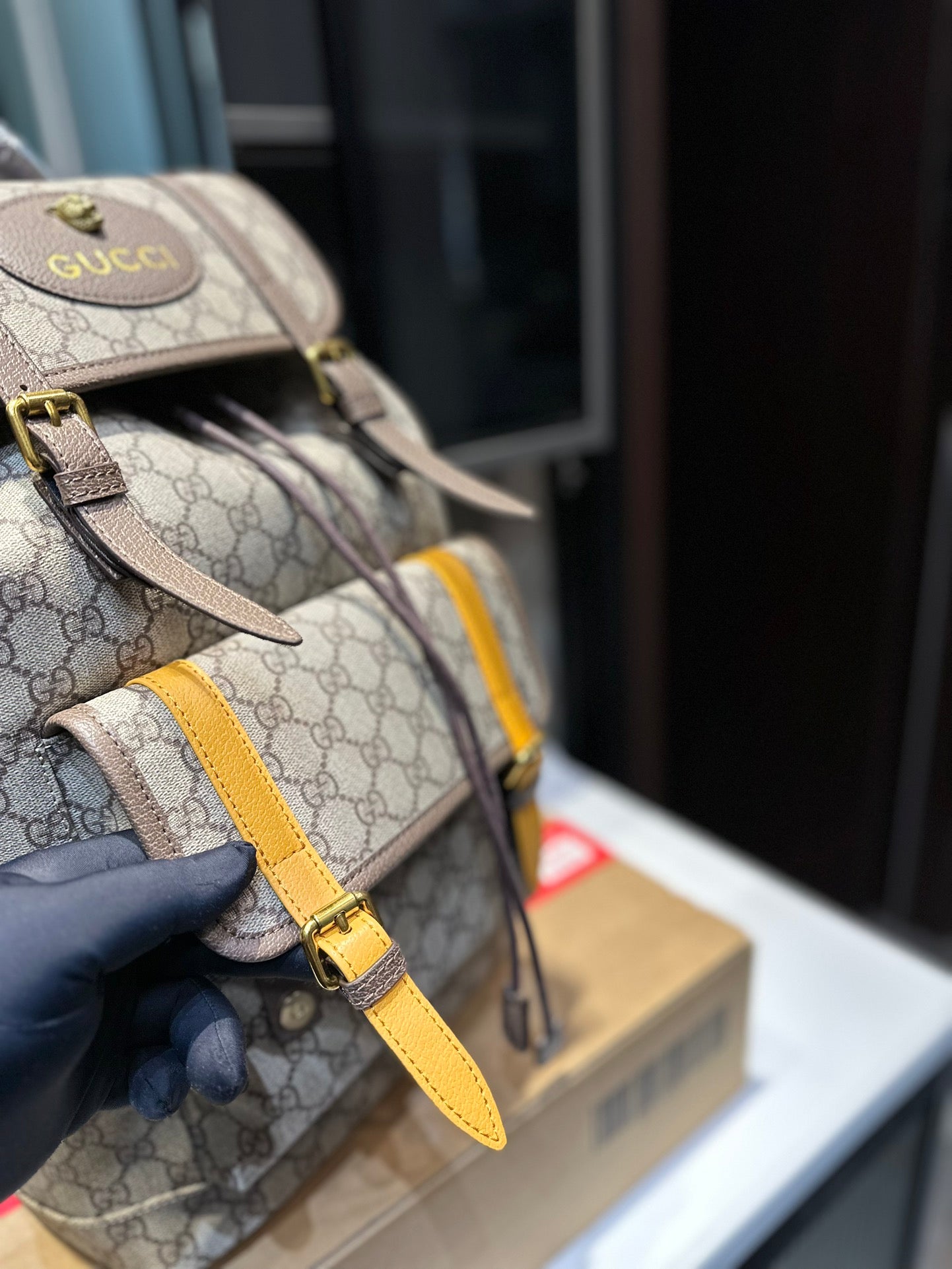 Gucci BAG 13