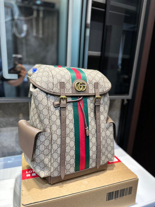 GUCCI BAG 15