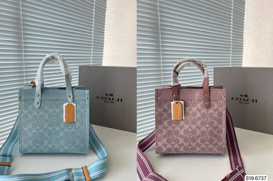 Co-BAG620