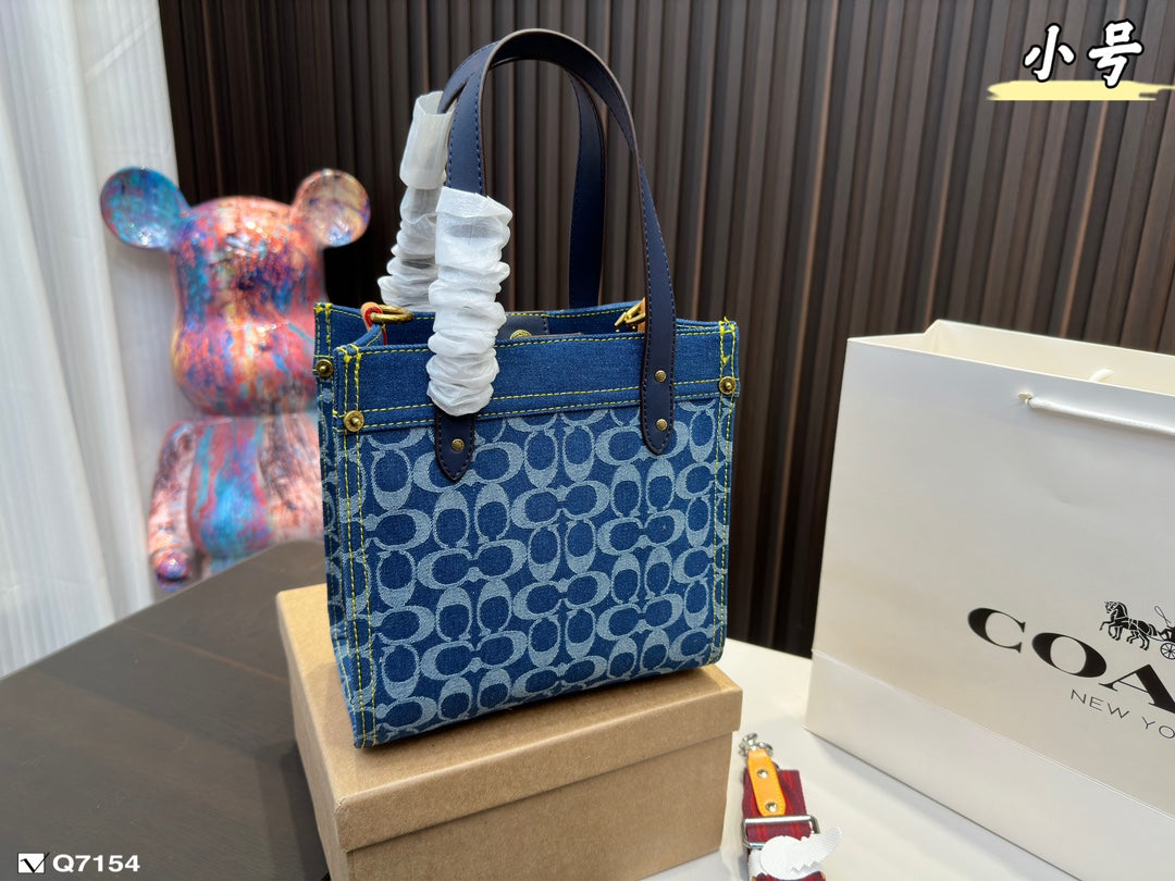 Co-BAG625