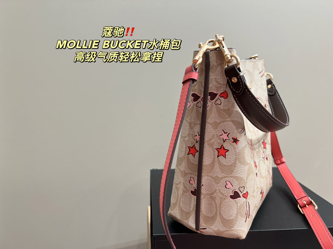 Co-BAG102