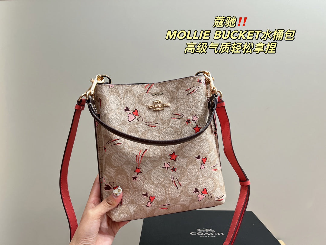 Co-BAG102