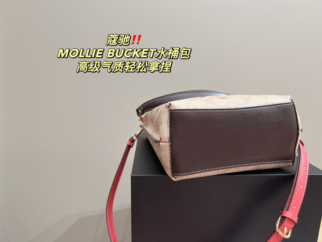 Co-BAG102