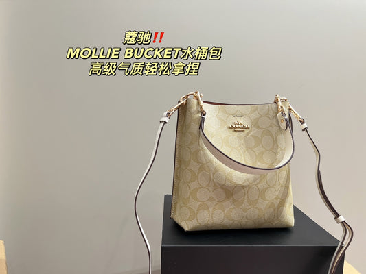 Co-BAG102