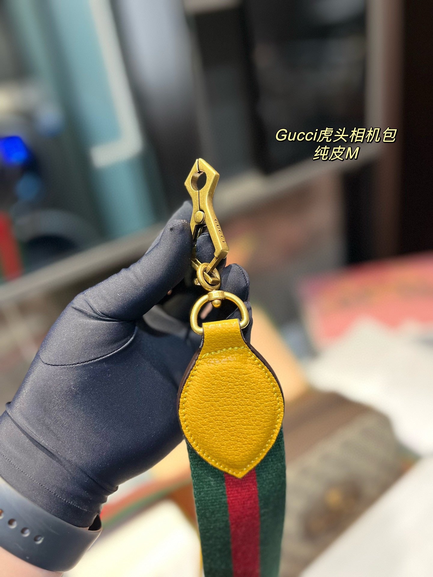 GUCCI BAG 223