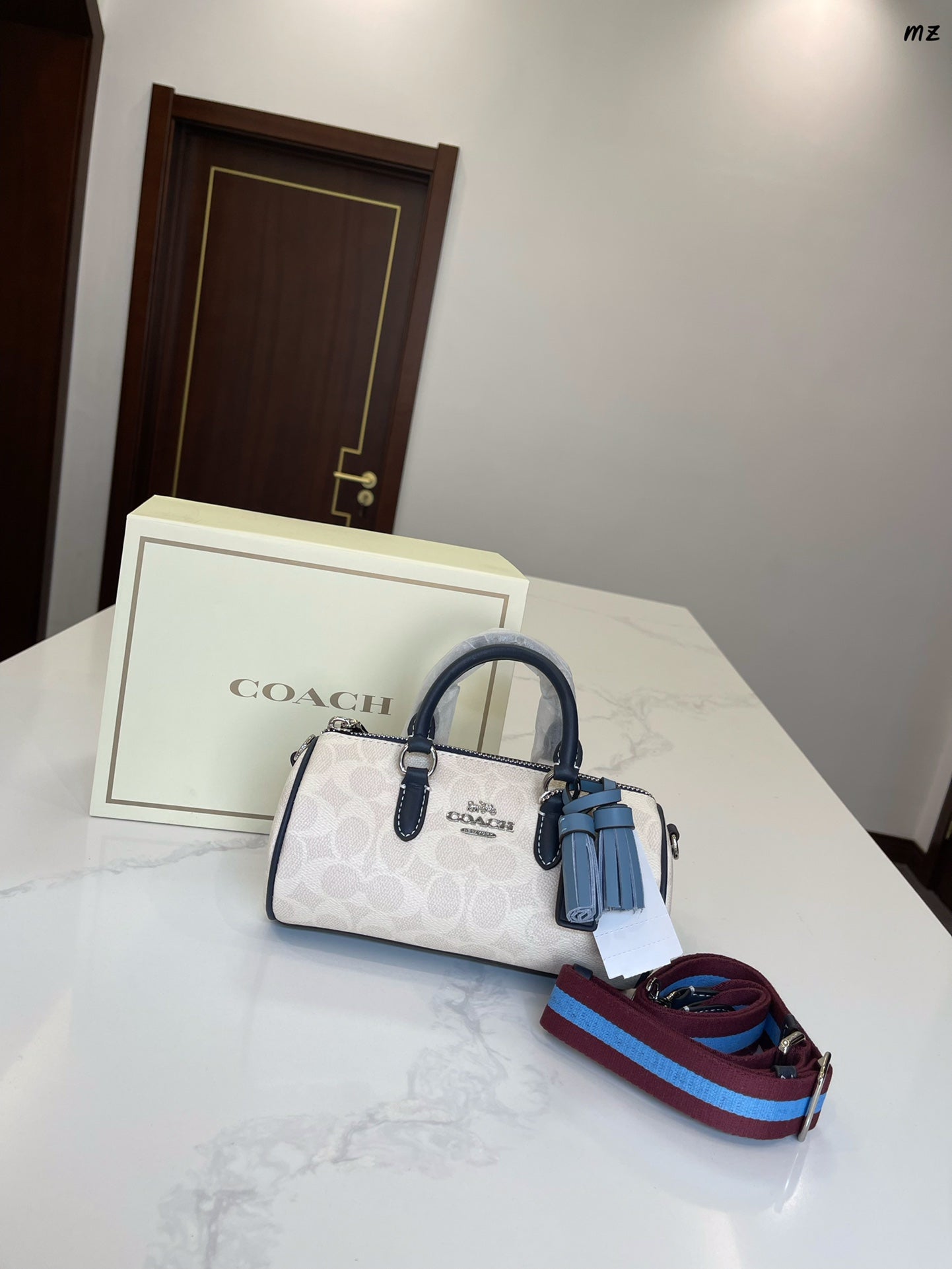 Co-BAG31