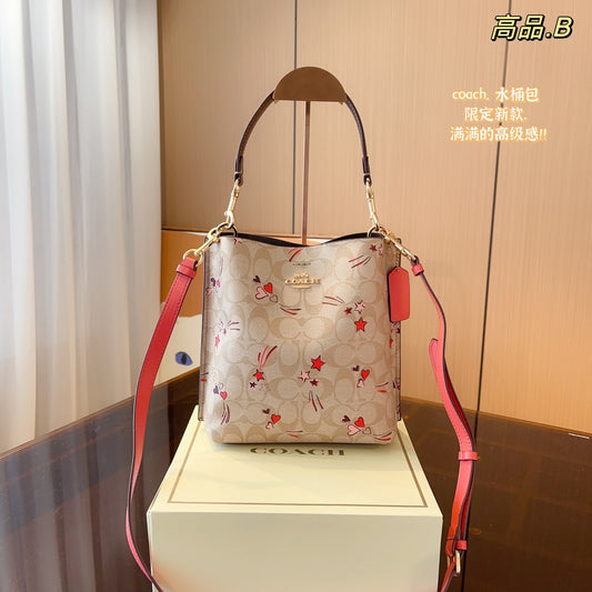 Co-BAG645