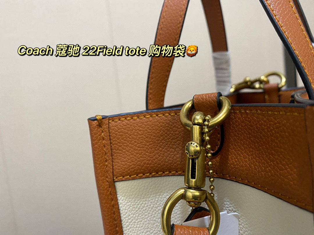 Co-BAG34
