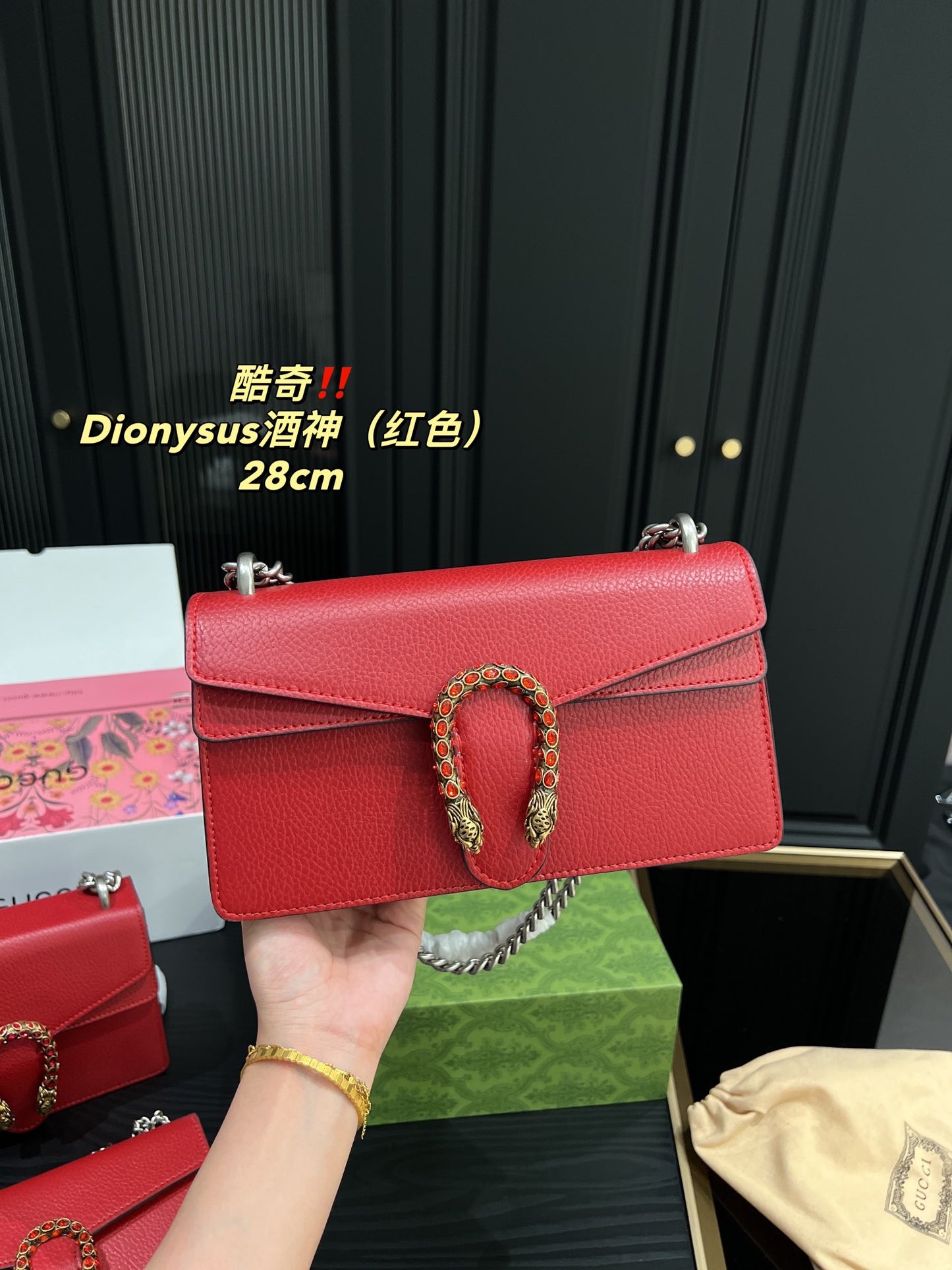 GUCCI BAG 366-1