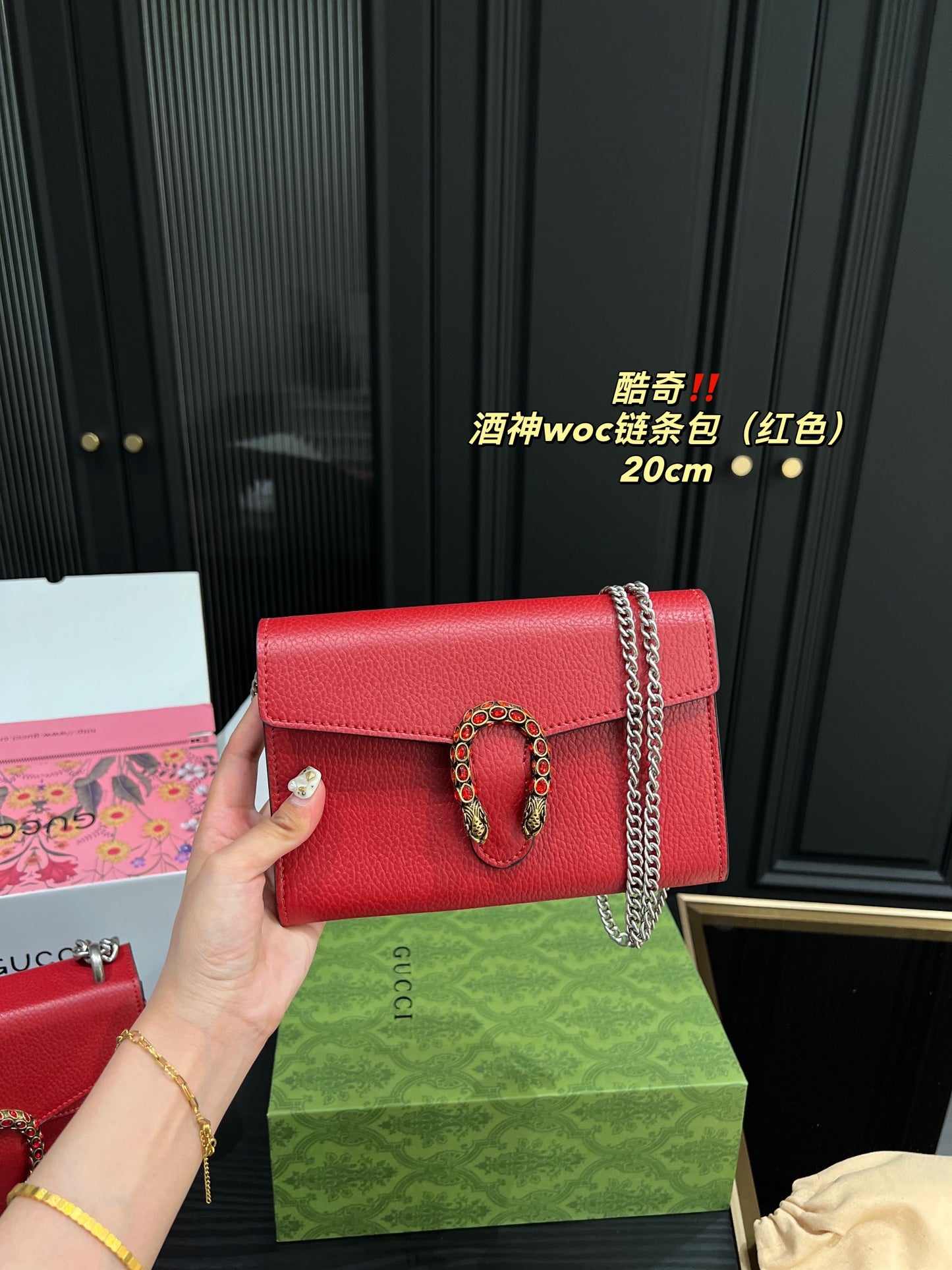 GUCCI BAG 366-4