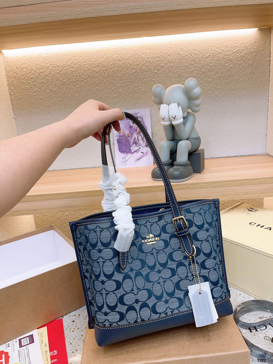 Co-BAG589-2