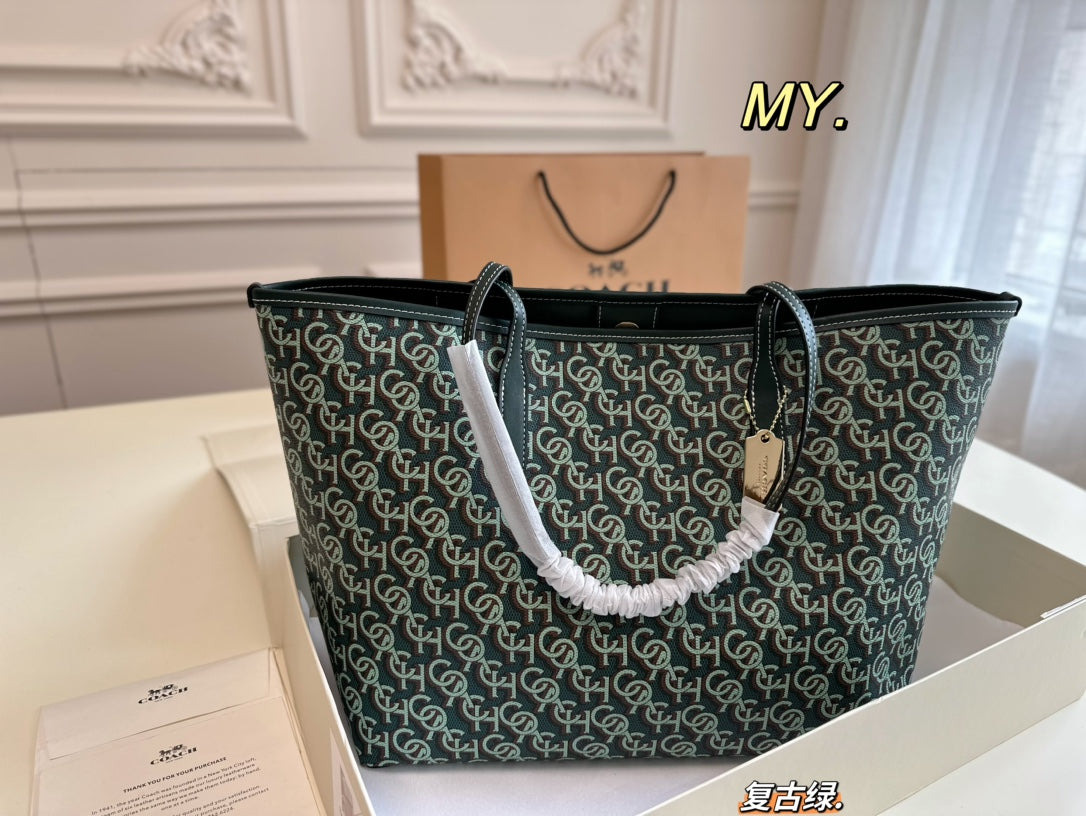 Co-BAG667