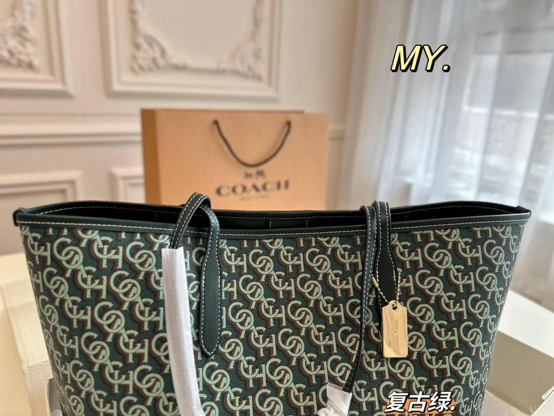 Co-BAG667