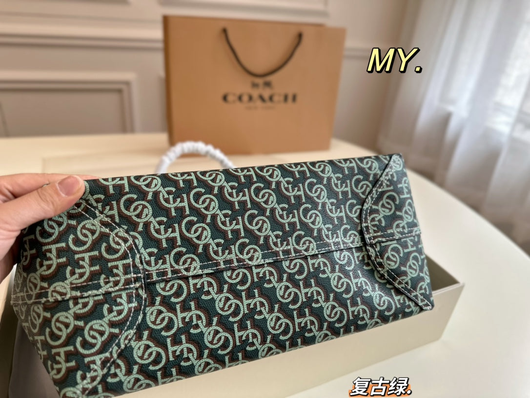 Co-BAG667