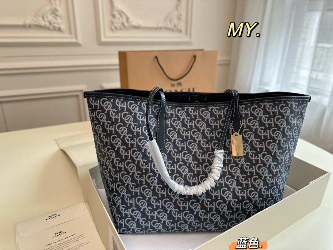 Co-BAG667