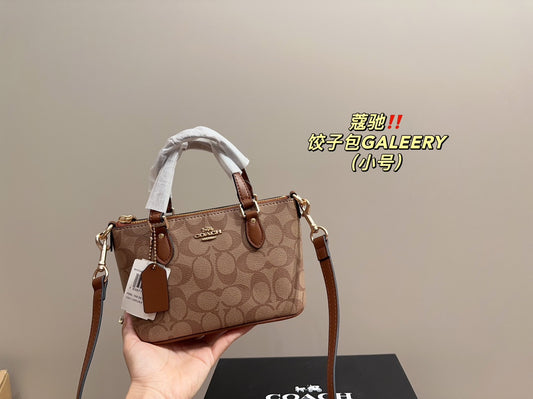 Co-BAG113