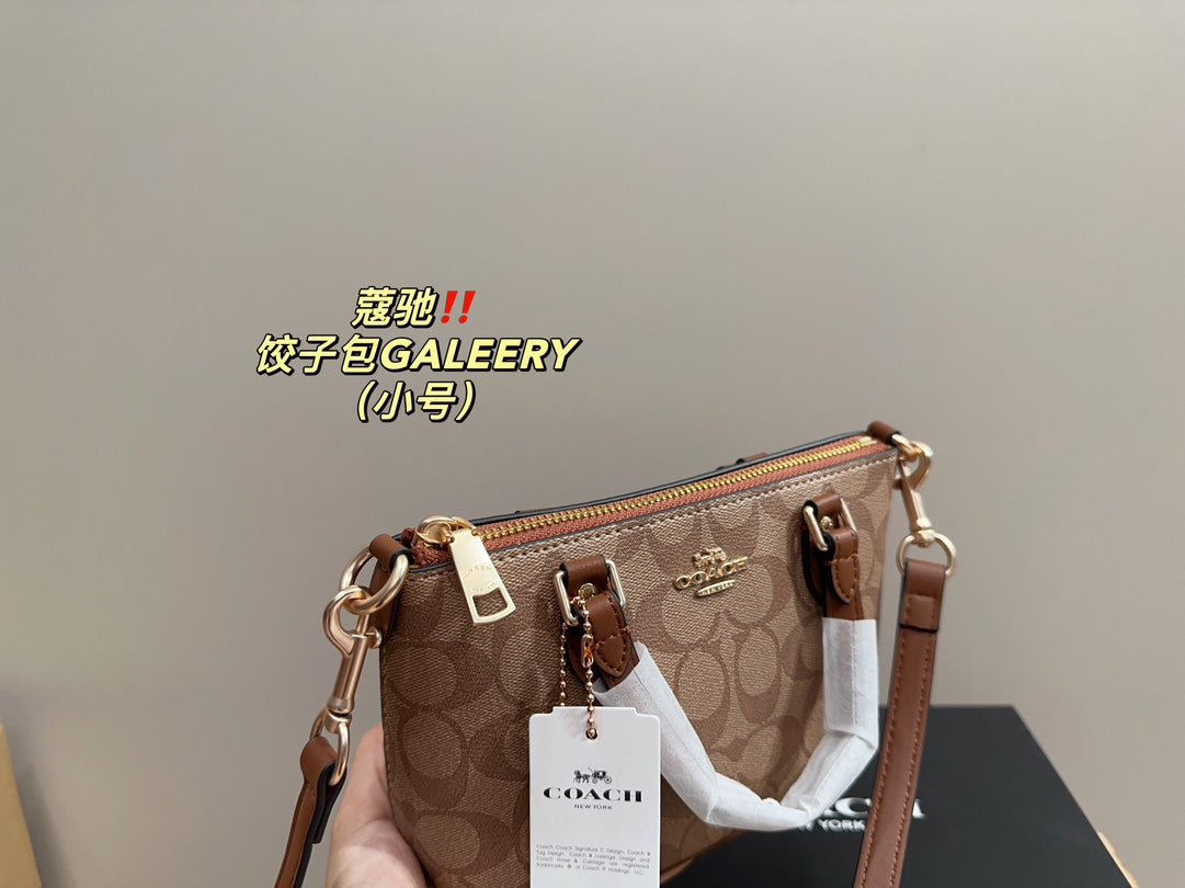 Co-BAG113
