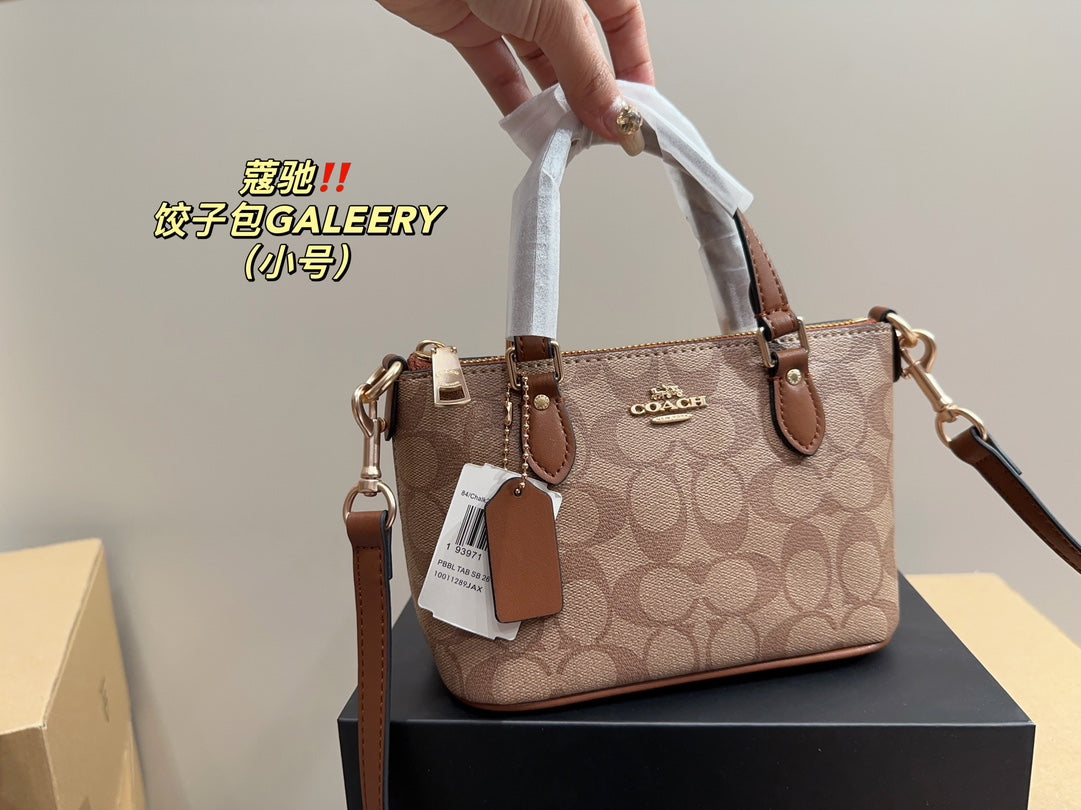 Co-BAG113