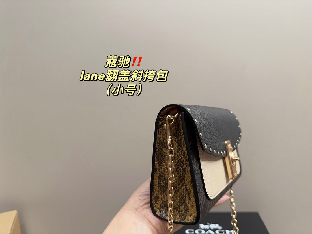 Co-BAG108