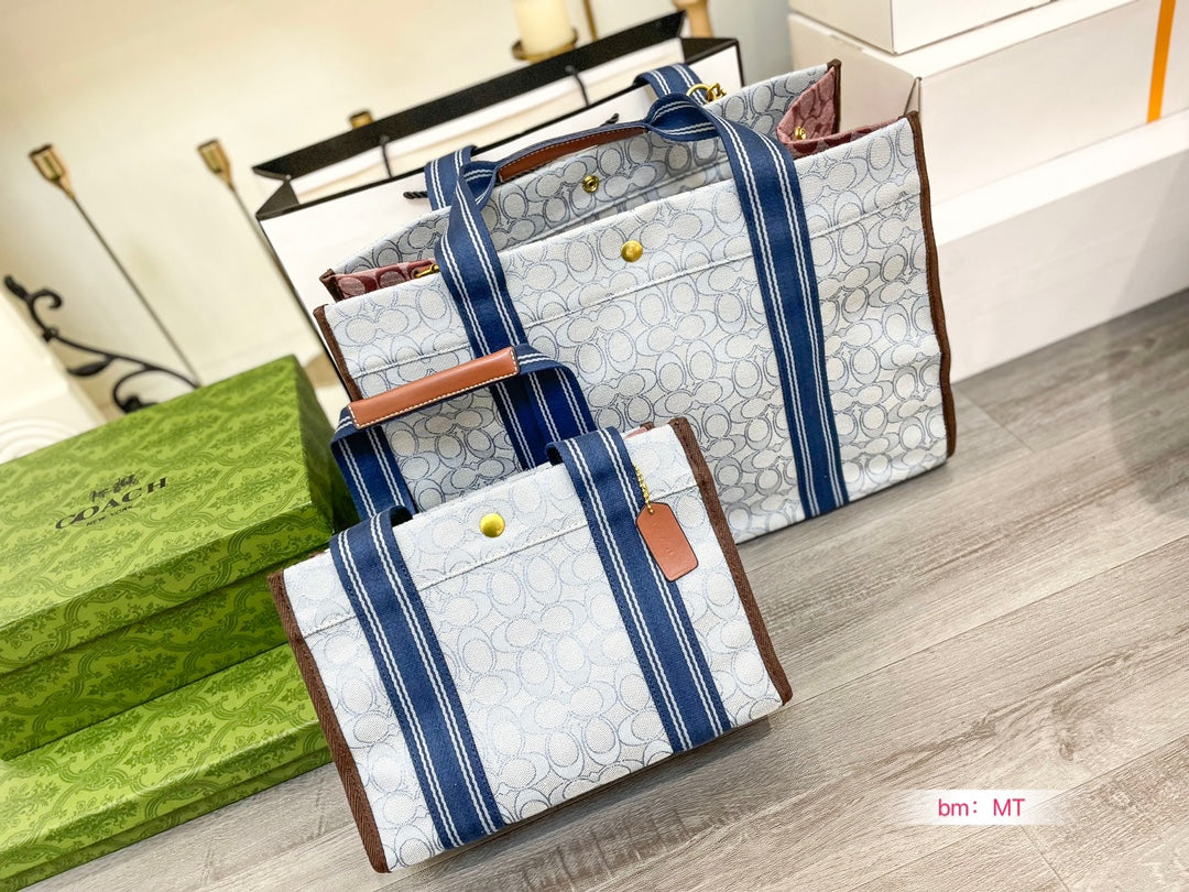 Co-BAG676