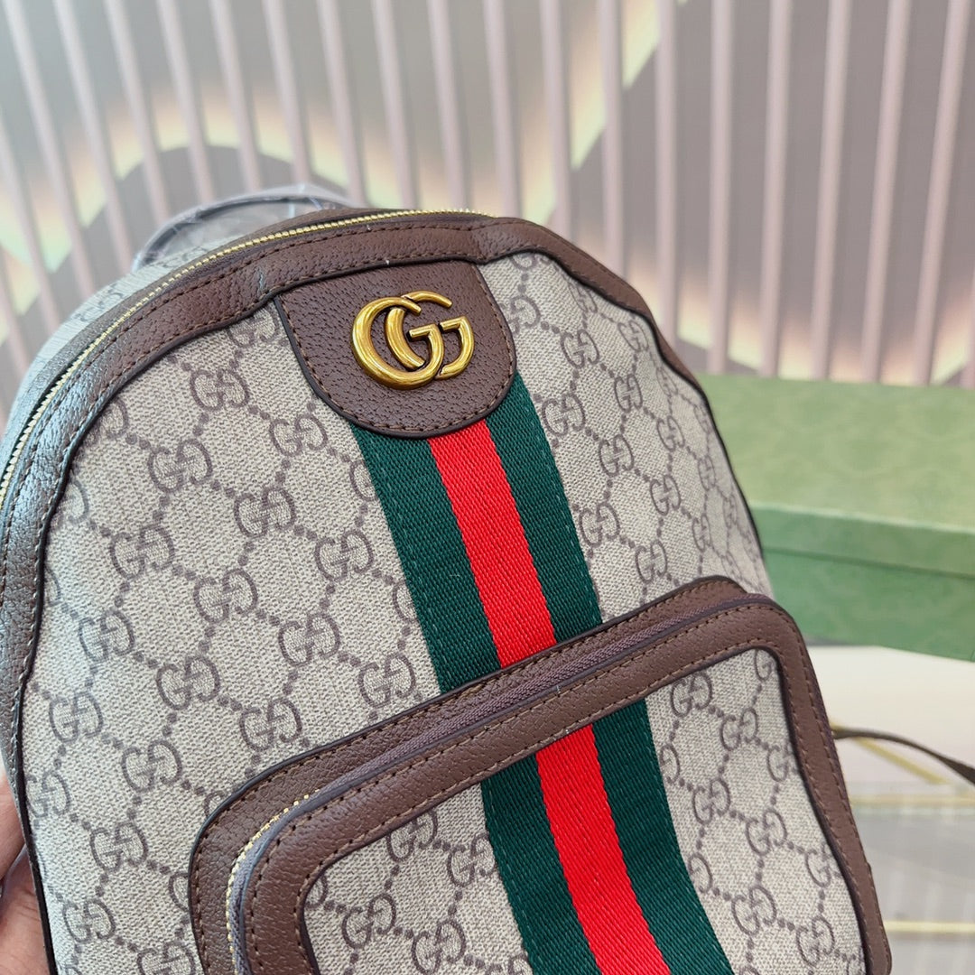 GUCCI BAG 427
