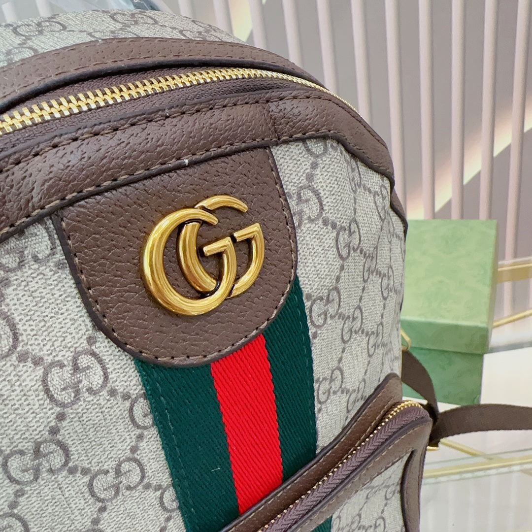 GUCCI BAG 427