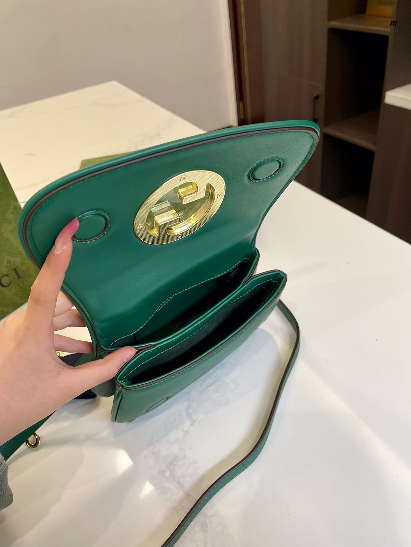 GUCCI BAG 513-2