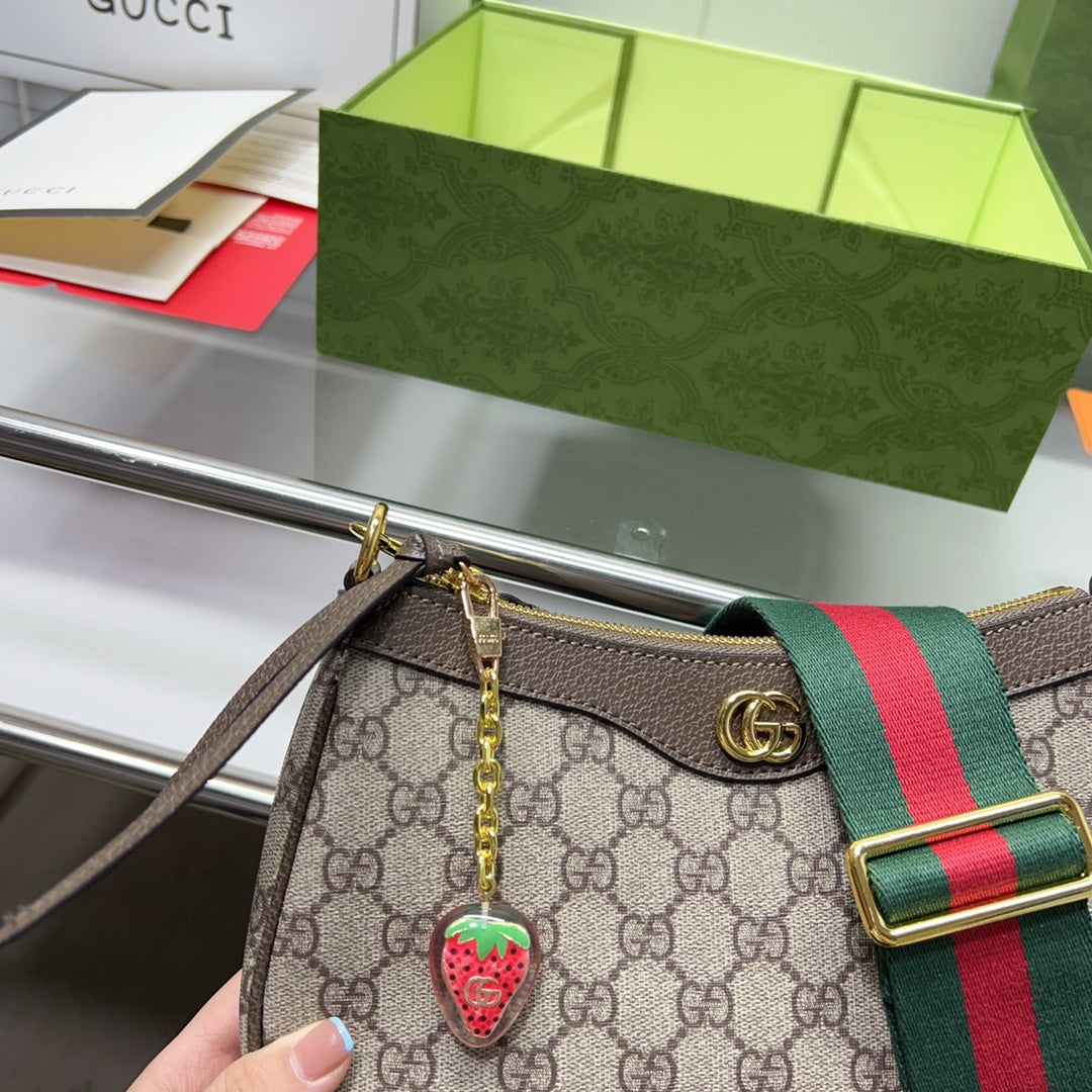 GUCCI BAG 541
