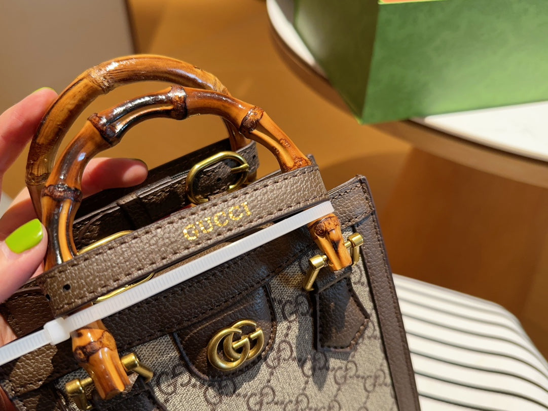 GUCCI BAG 567